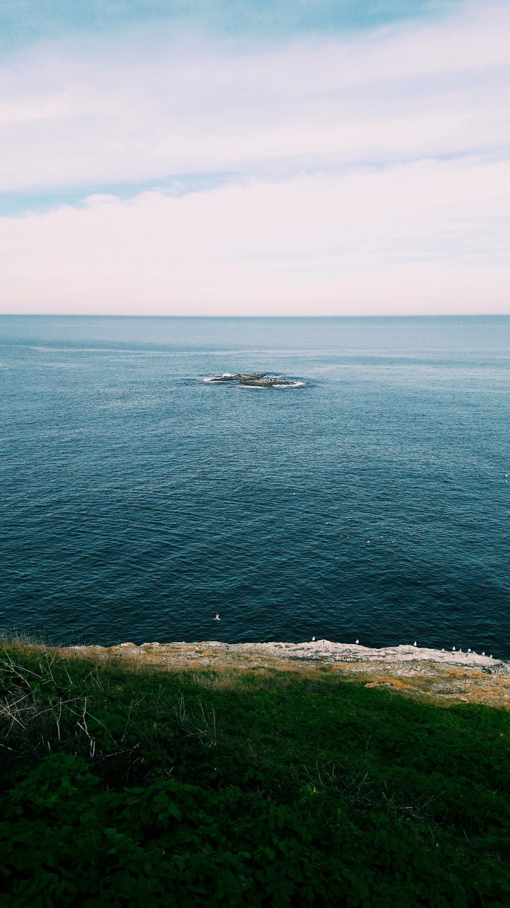 Sea