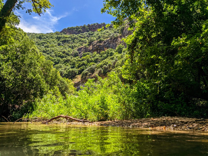Israel, North