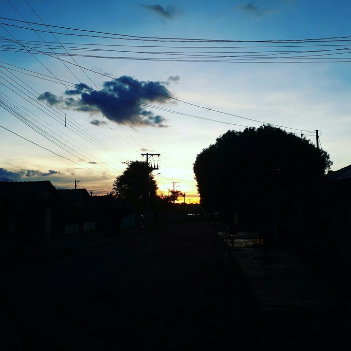 O amanhecer do coelho.