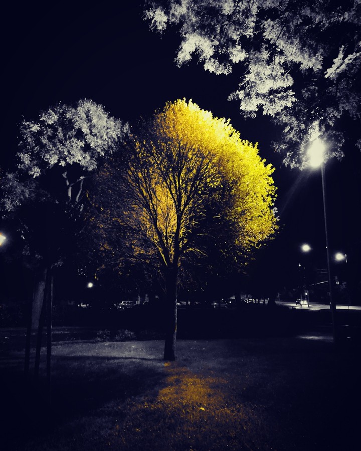 Night shoot
