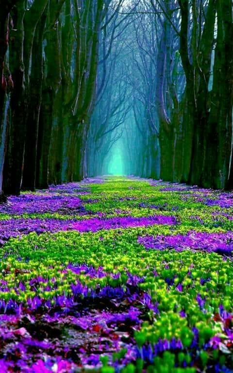 wonderful