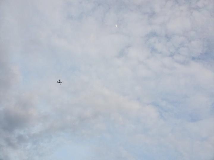 Fly high in the sky