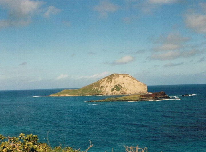Hawaiian dream