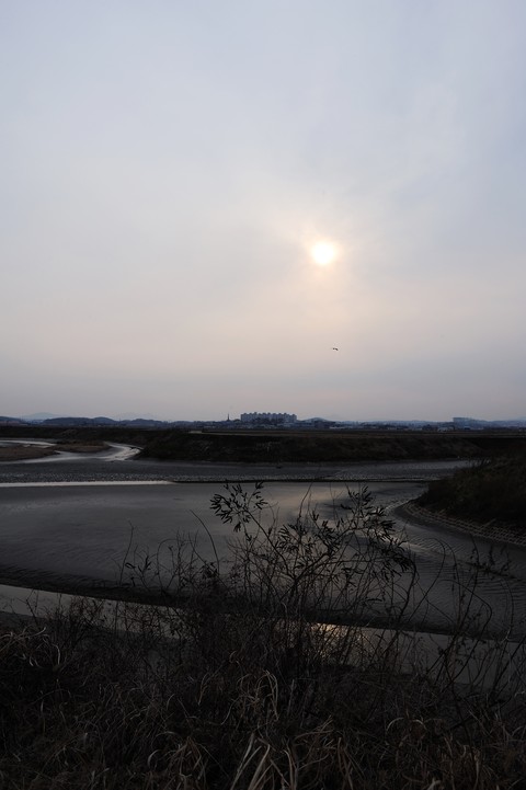 Scenics