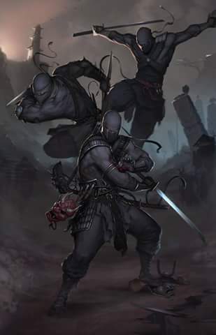 ninja warrior