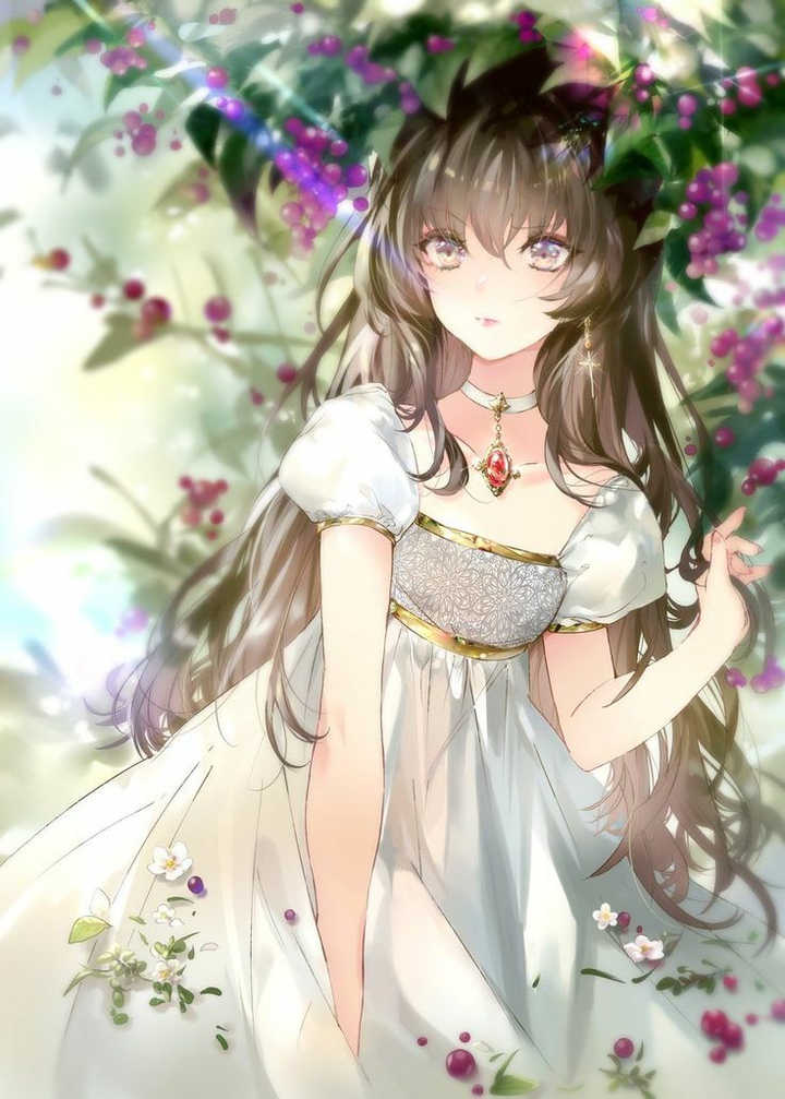 anime