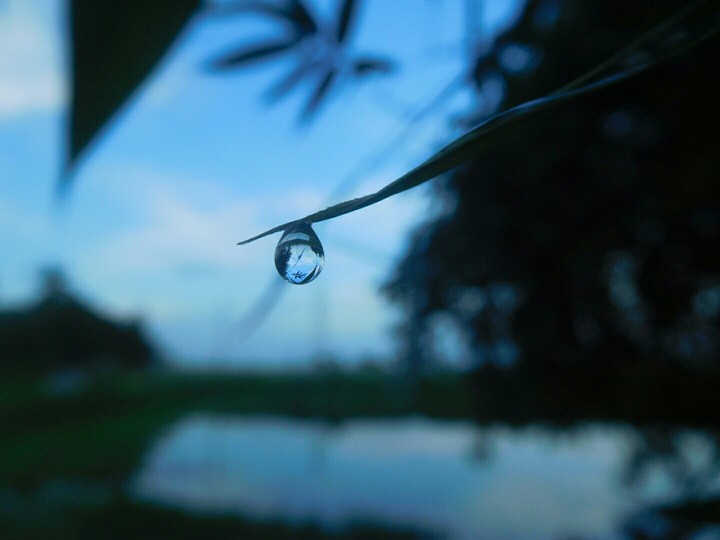 macro