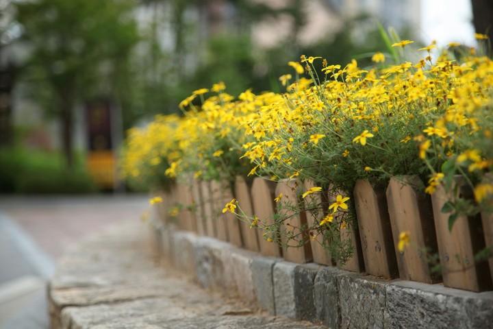 꽃길