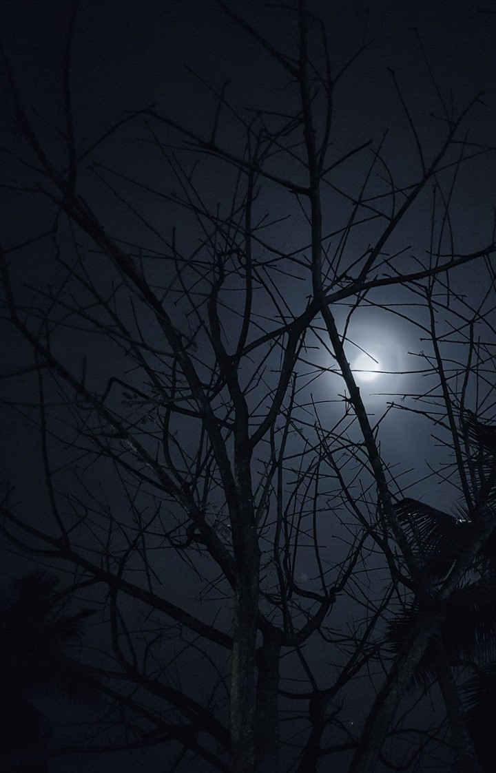 moon
