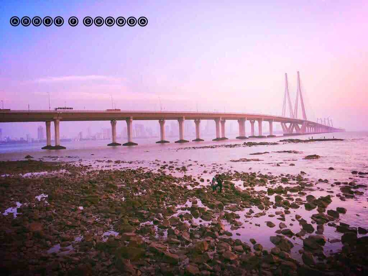 Bandra worli sea link