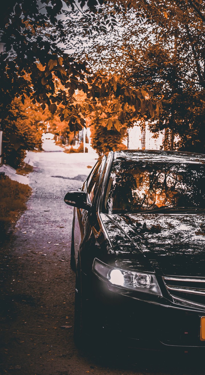 autumn drive
