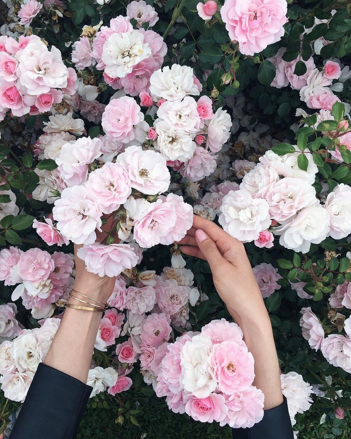 ♡