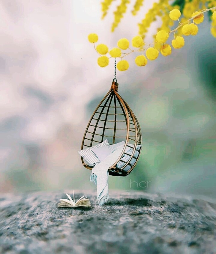 Relief.. #nature