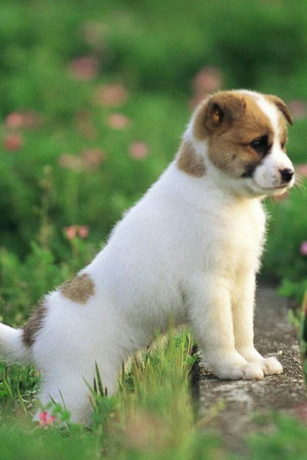 sooooo cute ❤