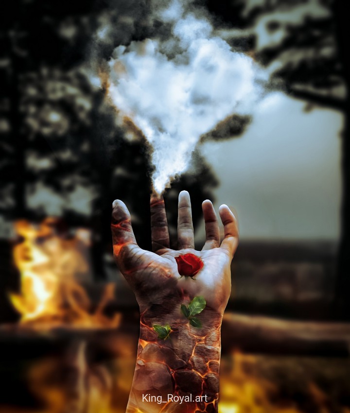 heart concept