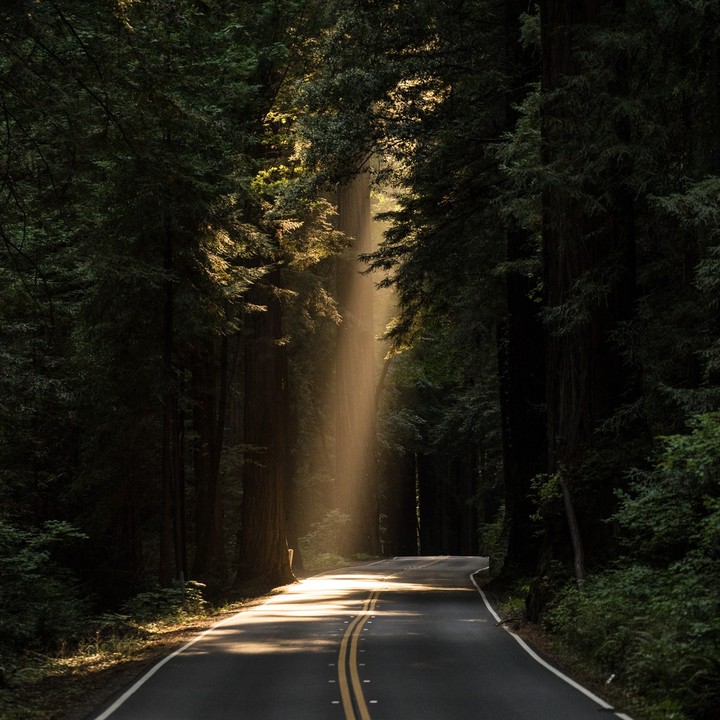 Raining forest road