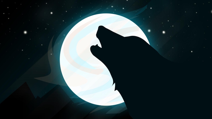 wolf