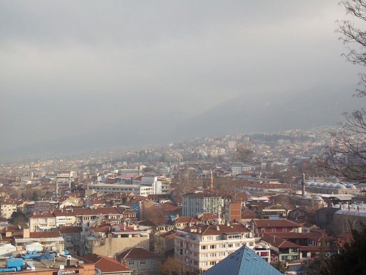 Bursa