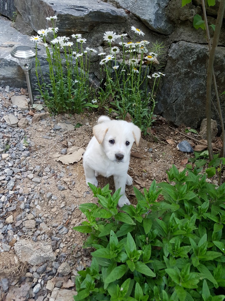 나 이뻐요.