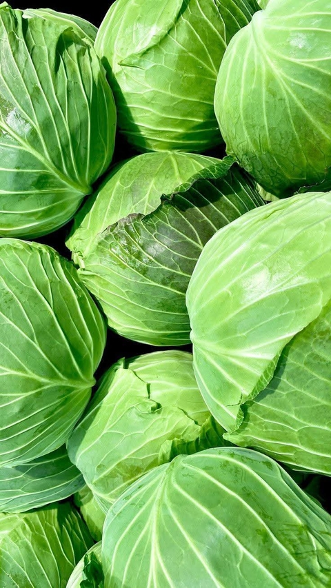 ταπετσαρίες Cabbage, Ingredient