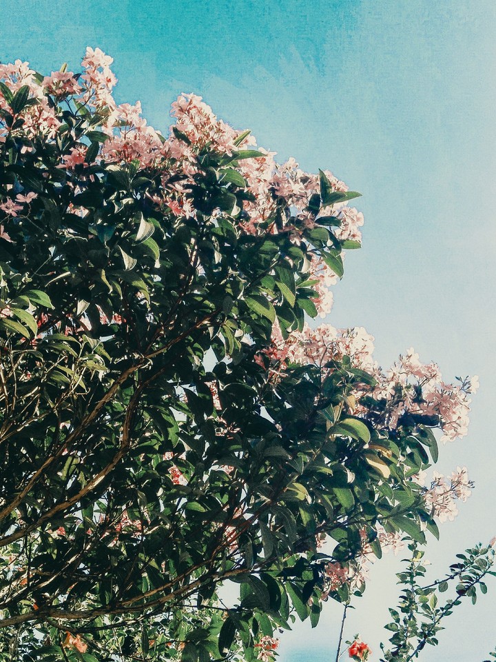 #natureza