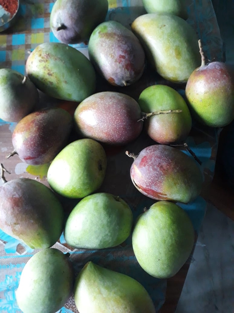 Mangoes