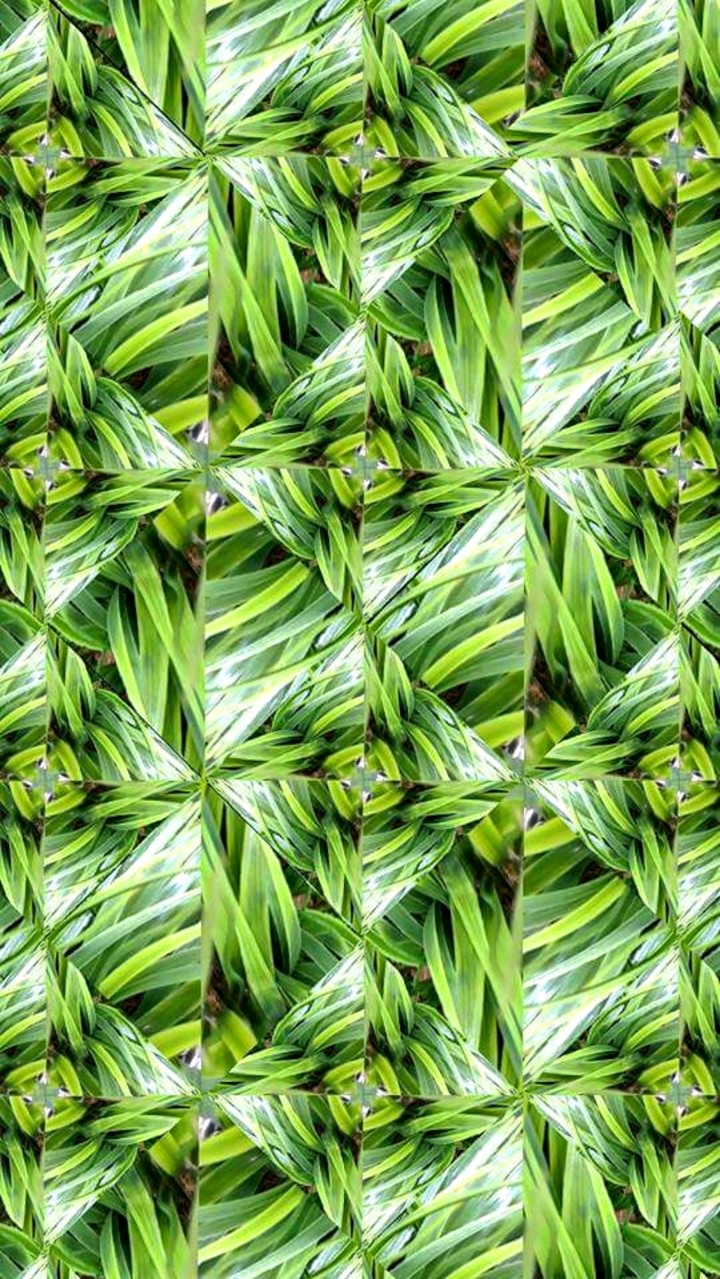 Fake grass plant kaleidoscope