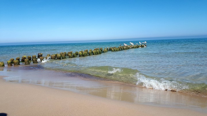 Sea Baltyckie