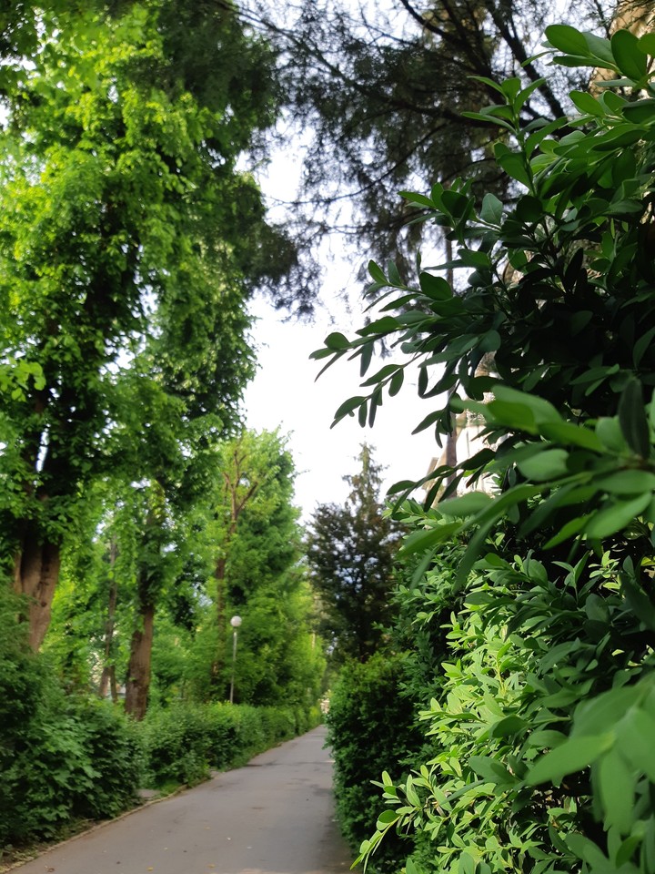 Nature