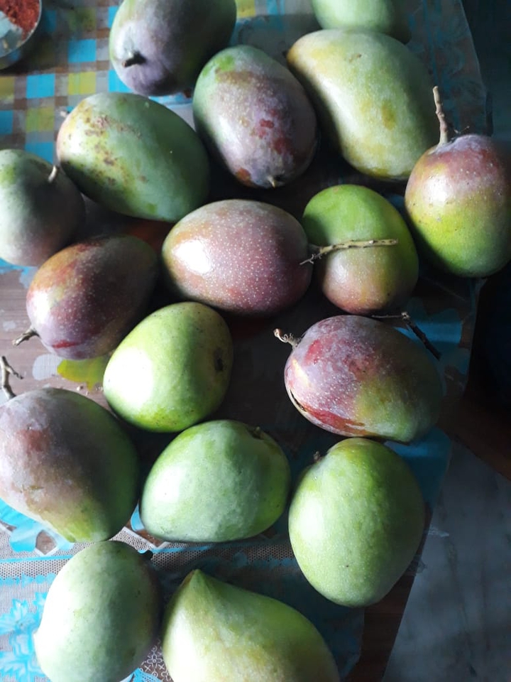 Mangoes