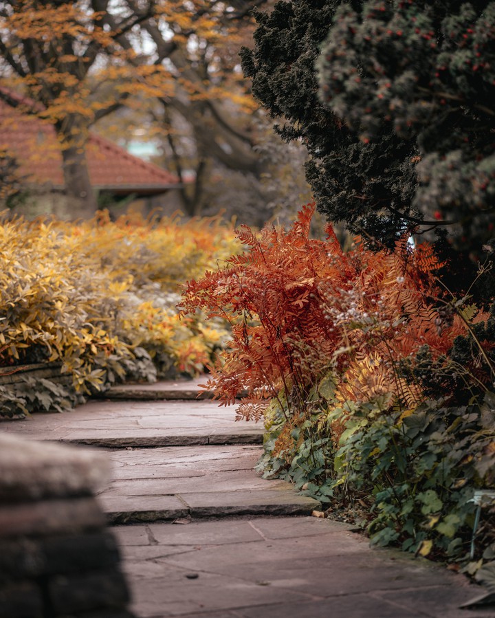 pathway