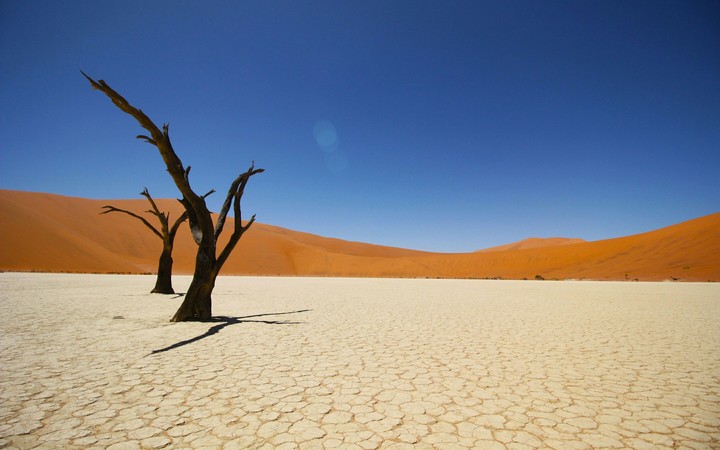 Namib Coastal Dessert