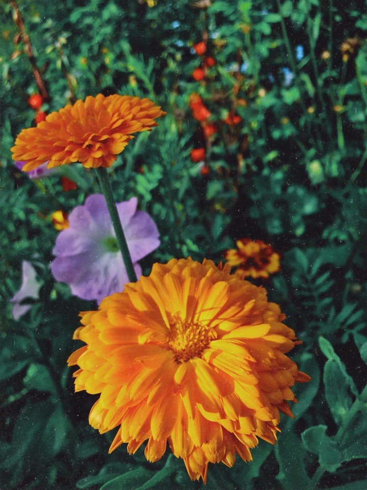 красота