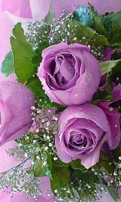 roses