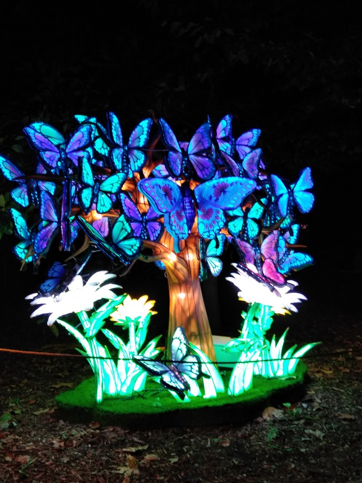Lighted Butterfly Statue
