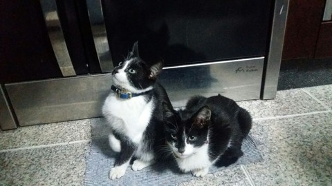 cuties