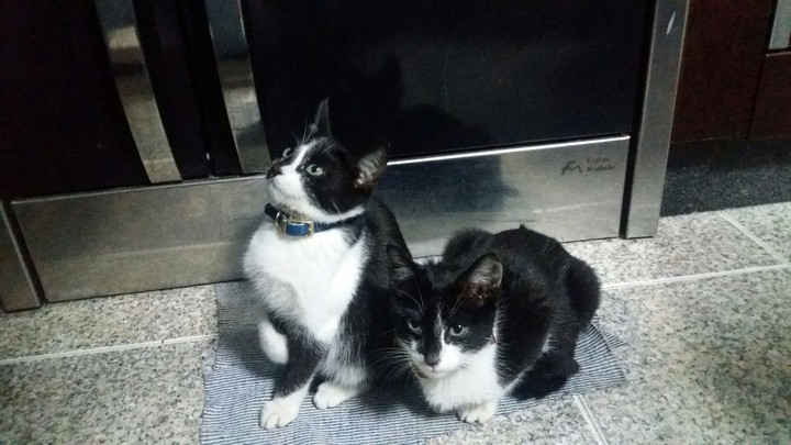 cuties