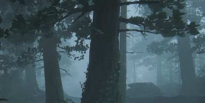 Floresta