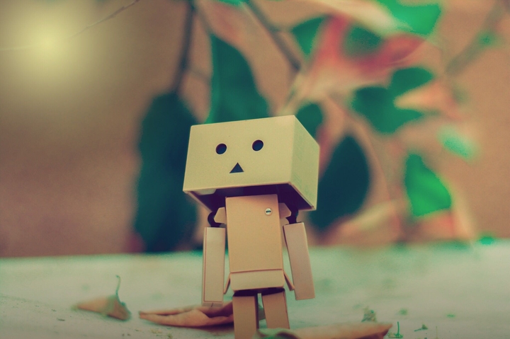 danbo