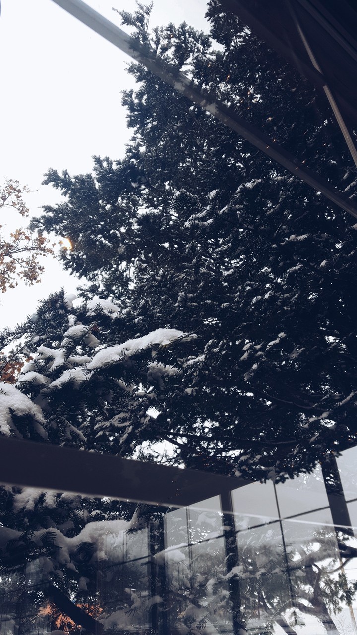 Snow 2.0