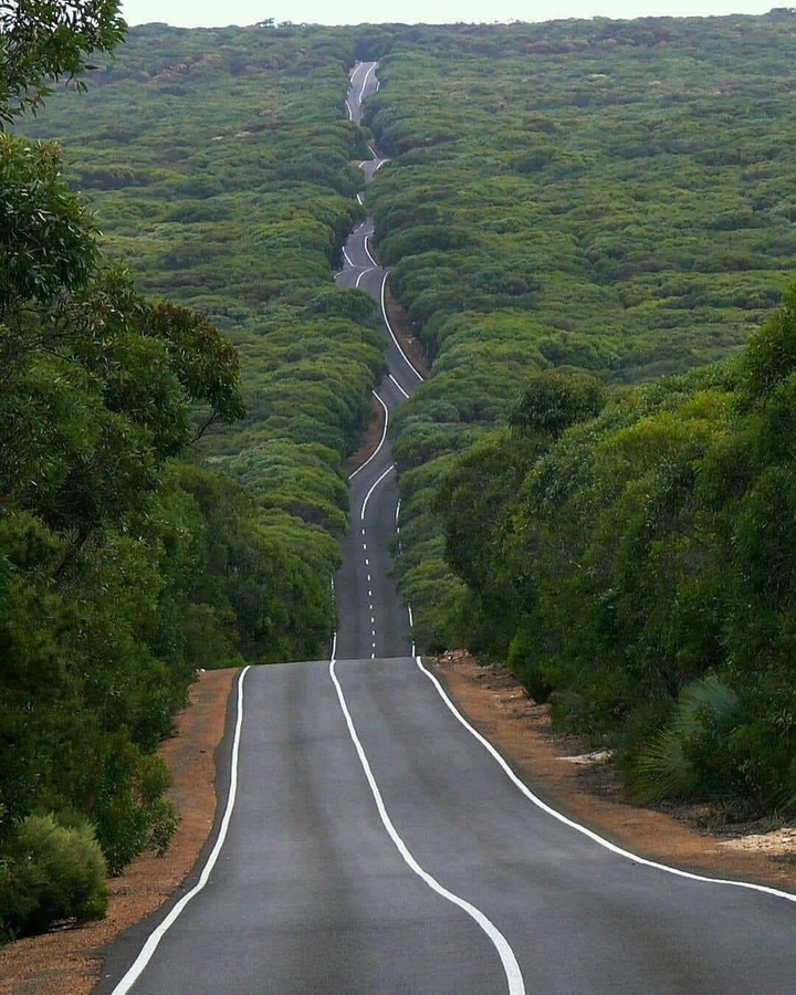 go