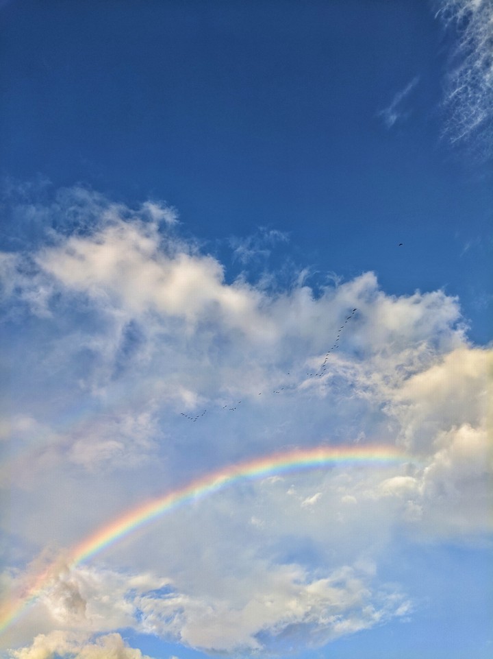 Double Rainbow