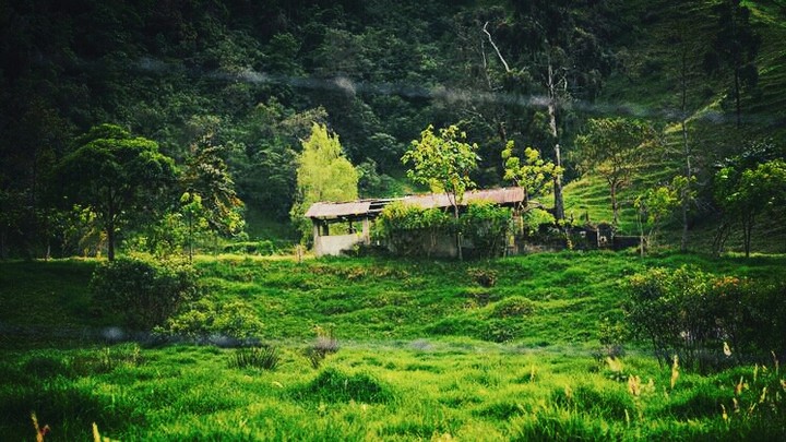 Nature