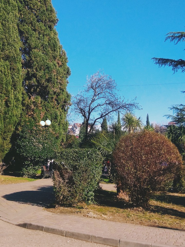 Город