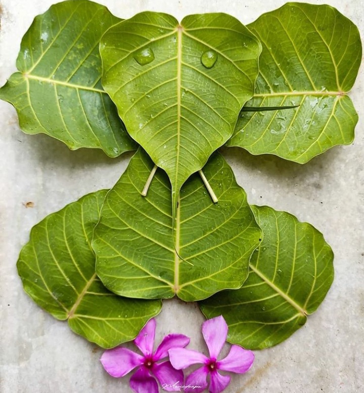 Lord Ganesha made by fresh green leaves ☘