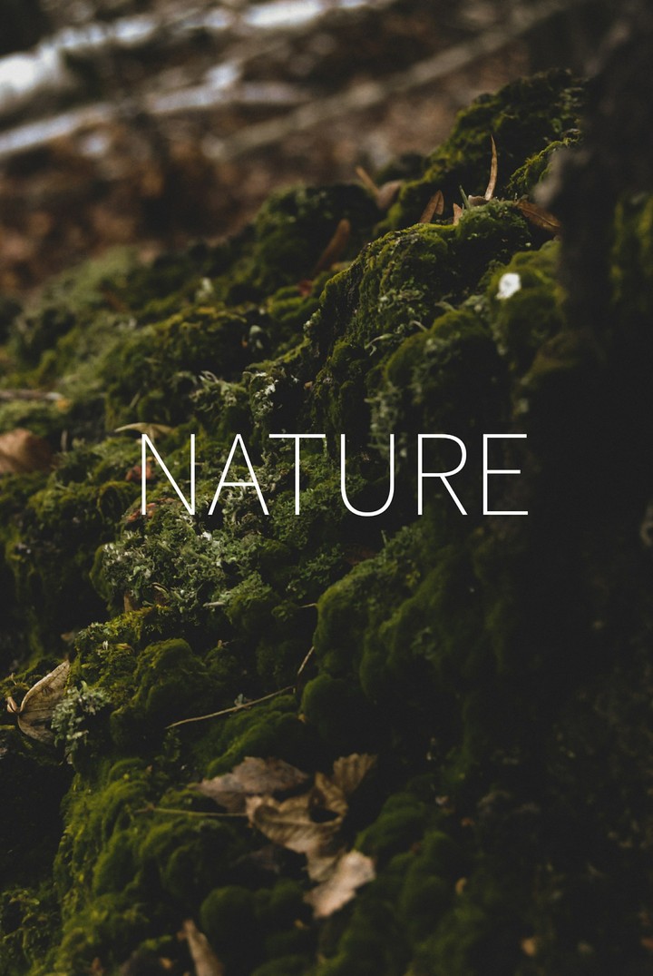 NATURE