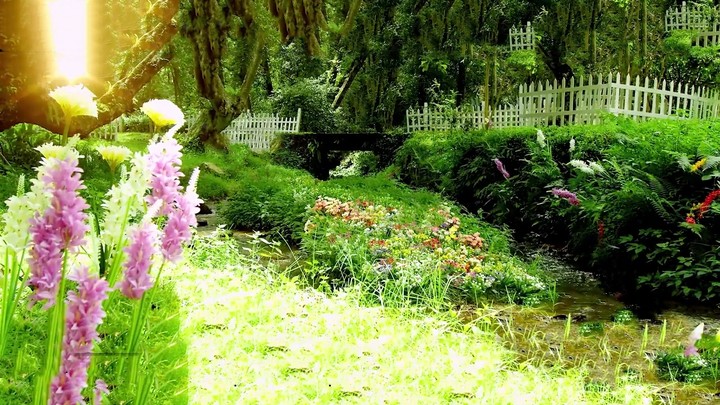 nature