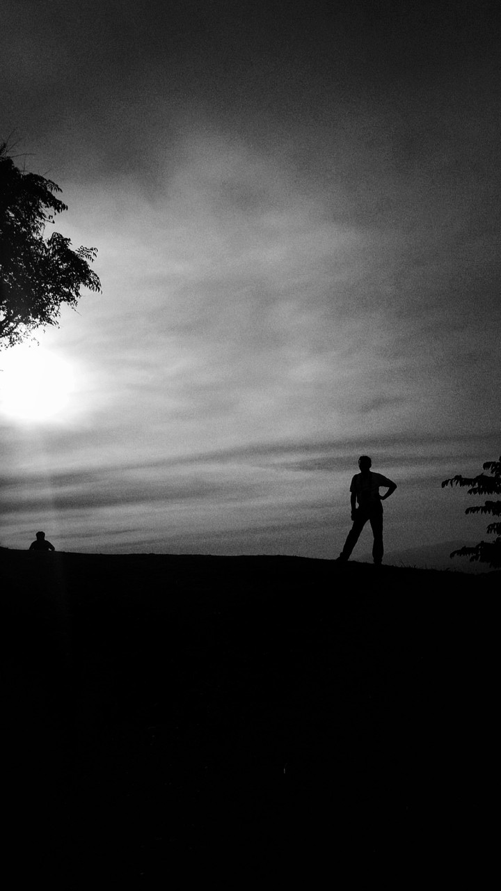 A man with a tree