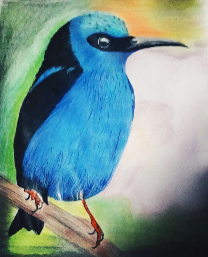 pintura