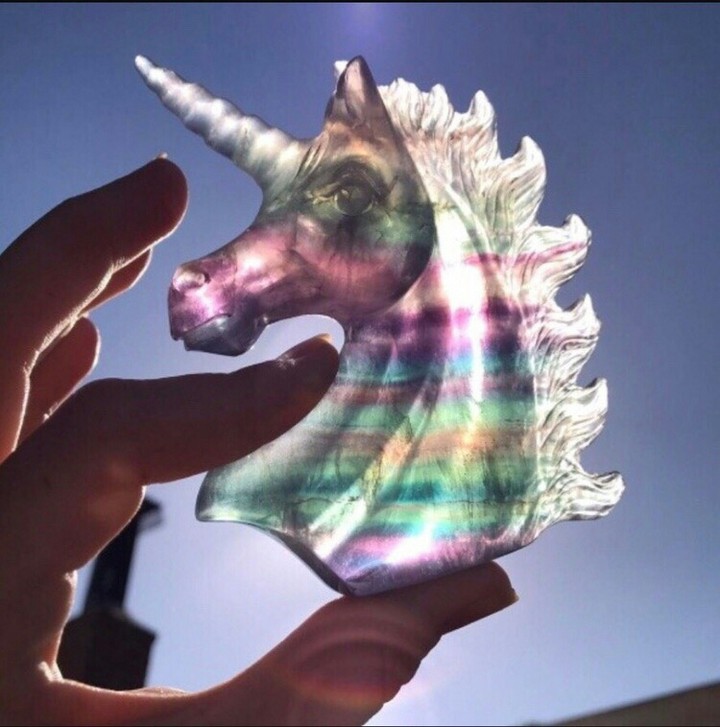 unicorn